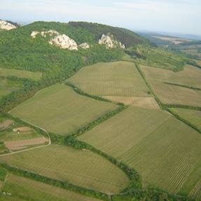 Splněný sen (8.5.2009)