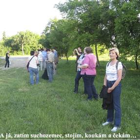 Zlata z Nuzířova (16.6.2011)